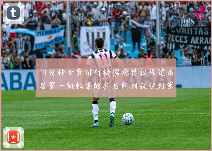 门将转会费排行榜揭晓特拉福德高居第一凯帕紧随其后阿利森位列第三